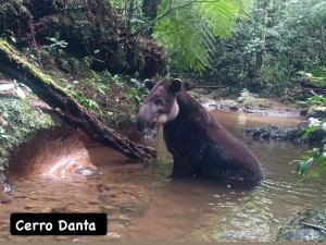 Cabaña Los Abuelos -Refugio de montaña familiar