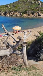 Appartamenti Vacanze Santa Teresa Gallura