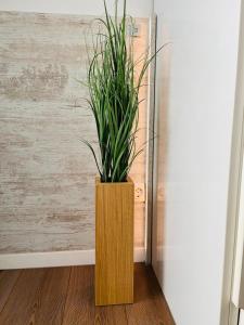 Apartment 62