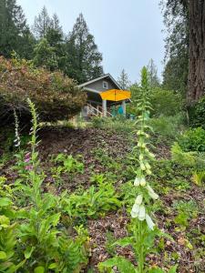Hood Canal View Cottage, 2BR 1BA near Alderbrook