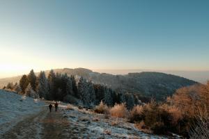 Chalet 8 à 10 pers entre lac et montagnes
