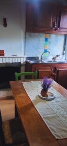 Floras Nest - Oasis of peace with a view of the Apuan Alps