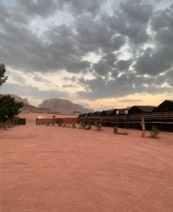 Sand Rose Camp - Wadi Rum
