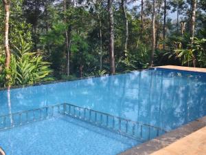 Cloud Hills Munnar