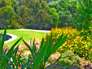 Casa dos Sonhos, private terrace, quiet location, walking to village, ecological pool, pets considered, nature friendly