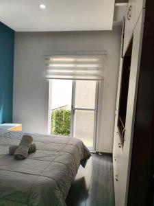 Elegant apartment next to Chapultepec