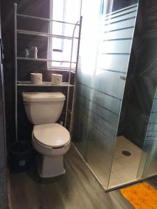 Elegant apartment next to Chapultepec