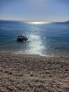 Apartman Nola Podgora