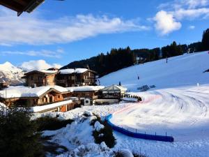 Résidence Le Val Dor - Appartement Val dOr - 4 Personnes - Les Gets MAE-4061