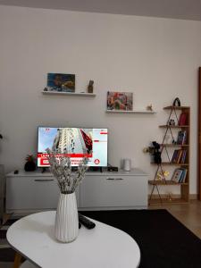 Apartment in the center
