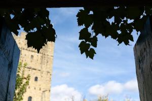 Castello di Porciano - Casa Scaletta