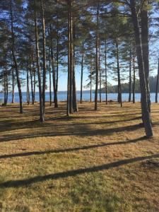 Cozy Lakefront Cabin 16 on Big Basswood Lake