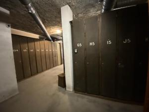 Résidence Serac - studio 4 personnes au sérac MAE-2251