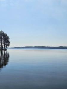 Charming Cabin 9 on Big Basswood Lake