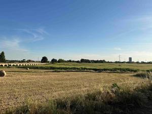 The House of the Swallows