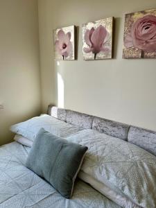 Bright Modern house beside Snowdonia