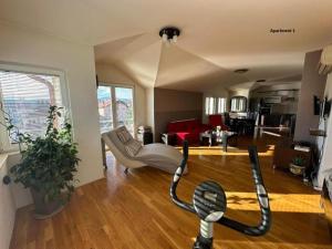 Apartment Stefan Bozin