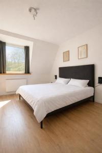 Altbau Apartment mit toller Terrasse