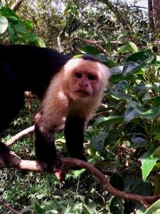 Belcruz family lodge