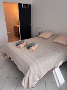 maison au calme avec terrasse