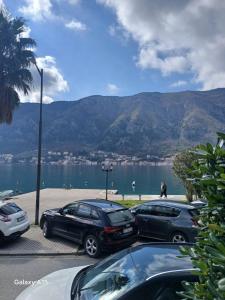 Kotor Pearl Stays - Modern Apartment by the Sea