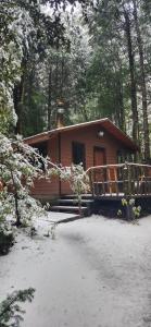 Cabañas Los Picaflores