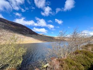 Bright Modern house near Snowdonia