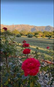 Estancia Santa Rita