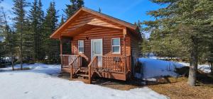 Alaska Summers Lodge Cabin 1-Near Mouth of Kasilof River
