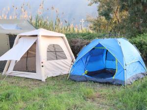Oaz Beach & Camp - Camping