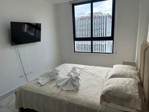 Ph The gray- Panama Calle 50 Fast -wifi-roof -toof