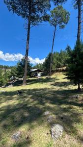 Cabaña de montaña con pileta en hermoso predio