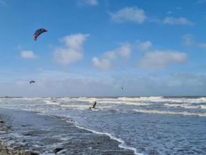 Apartment in Blankenberge near Belgium Pier