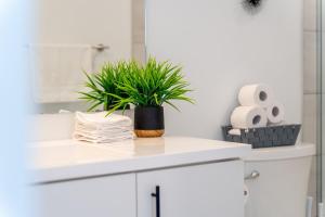 Elegant Open-Concept Condo in Downtown K-W