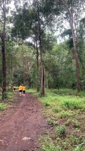 Căn Bungalow - KDL nghỉ dưỡng Suối Rao