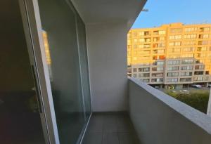 OHiggins Park Front Movistar Arena Concert