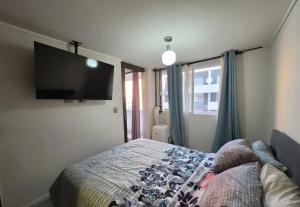 OHiggins Park Front Movistar Arena Concert