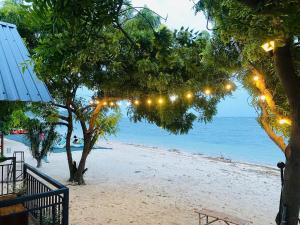 Thanh Hoa Homestay