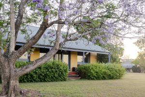 Tranquil Vale Vineyard