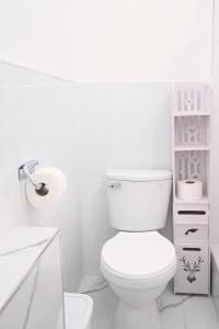 Mini Loft Lince Prime