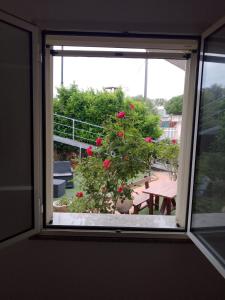 Casa vacanze sa minda noa img2