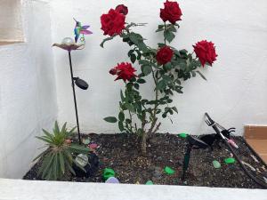 Mar&sun Casa Florida