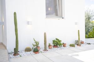 Villetta Don Cirillo - Salento Reservation