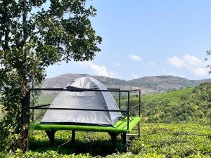 Tharayil Farm stay