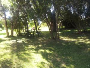 Case Vacanze Corongiu img22