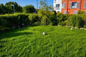 MEVA Apartament
