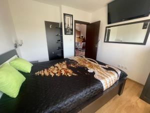 Raduga SP Apartments St Vlas
