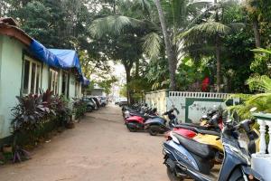 Cozy coast - Studio flat in calangute
