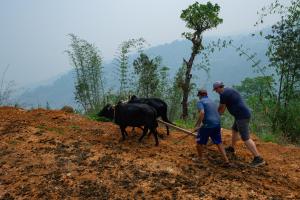 Barang Village Community Homestay