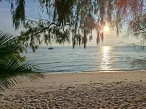Tiny beach house- Coconut Garden With Free Row Boat